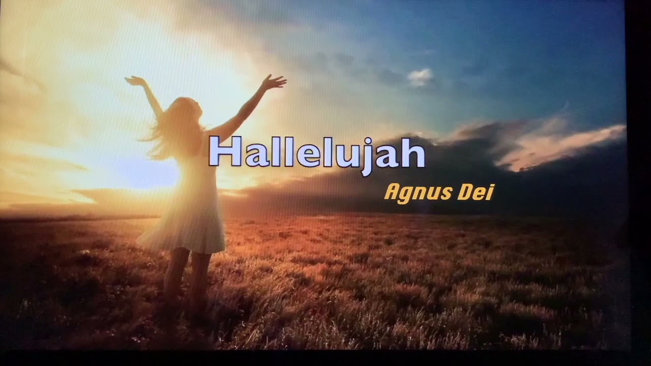 Virtual Praise Team  -  