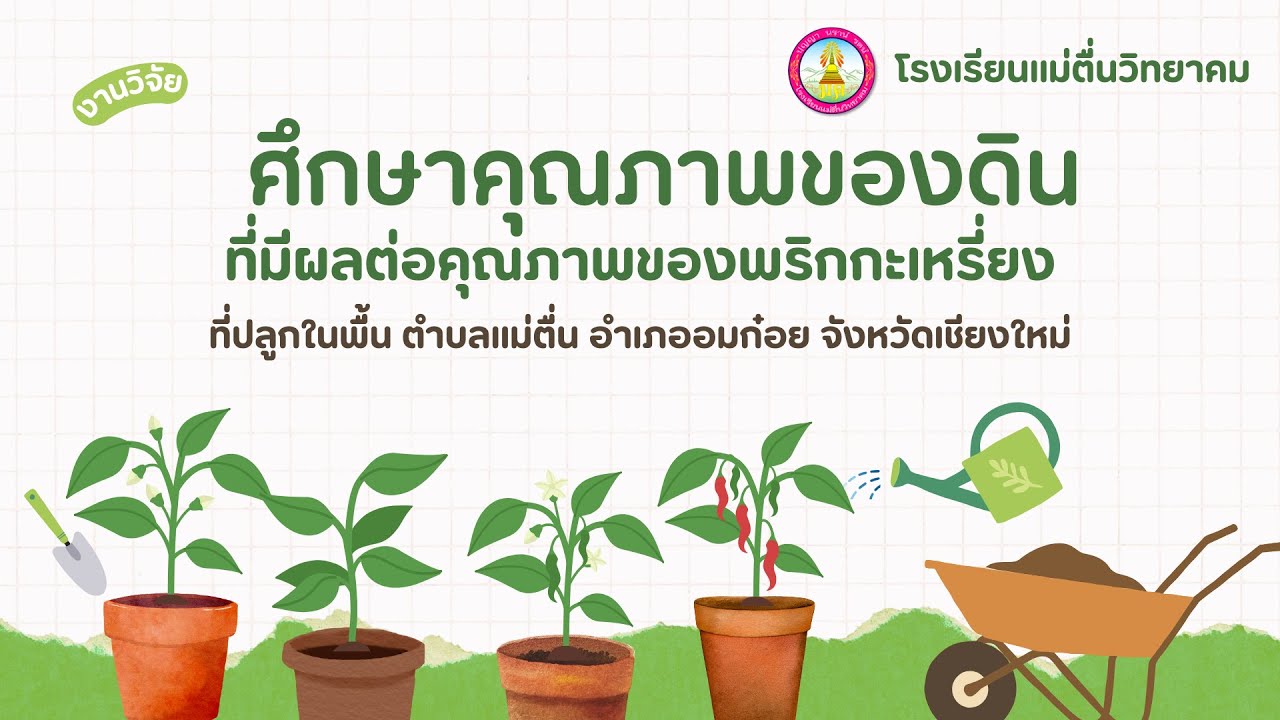 โครงงานวิจัย เรื่อง คุณภาพของดินที่มีผลต่อคุณภาพของพริกกะเหรี่ยงที่ปลูกในพื้นที่ตำบลแม่ตื่น