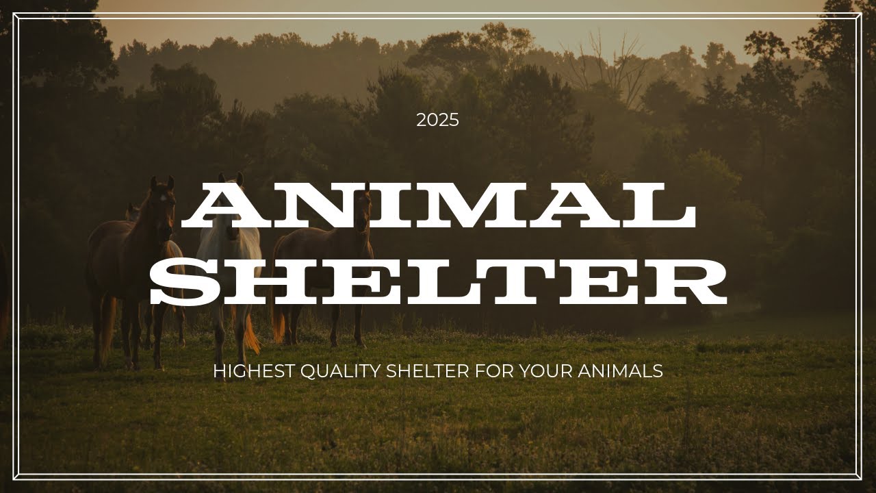 💯 Ultimate Horse Run-In Shed: Features, Design, & Construction