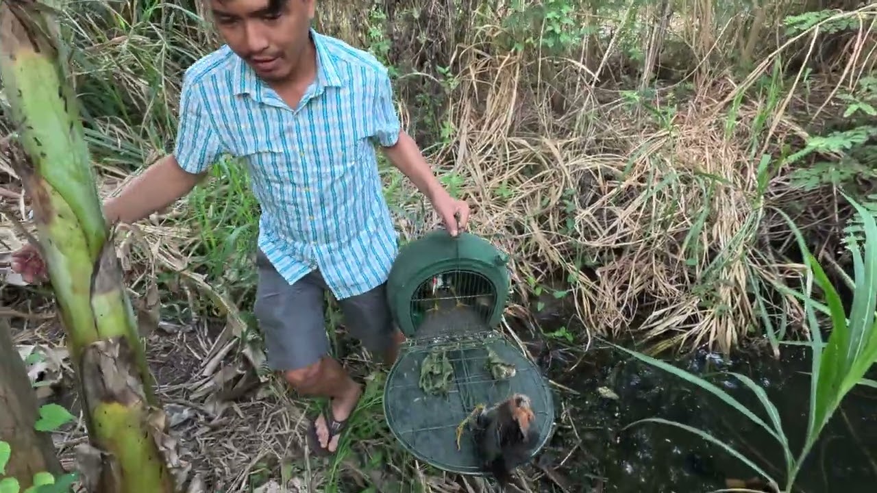 ngày 3 tháng 2, 2025