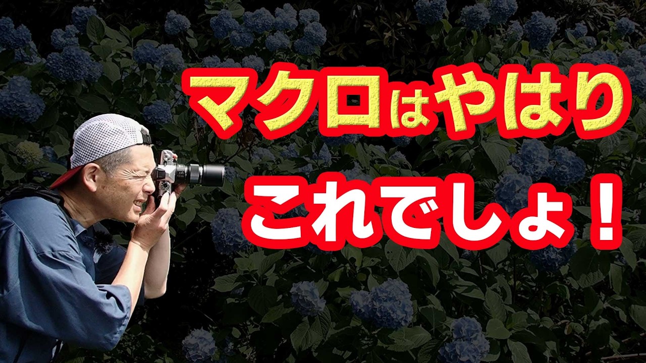 マクロレンズが一本あれば撮影の幅は一氣に広がる。マイクロフォーサーズの軽快さとマクロレンズの絶妙なバランスがたまらない！
