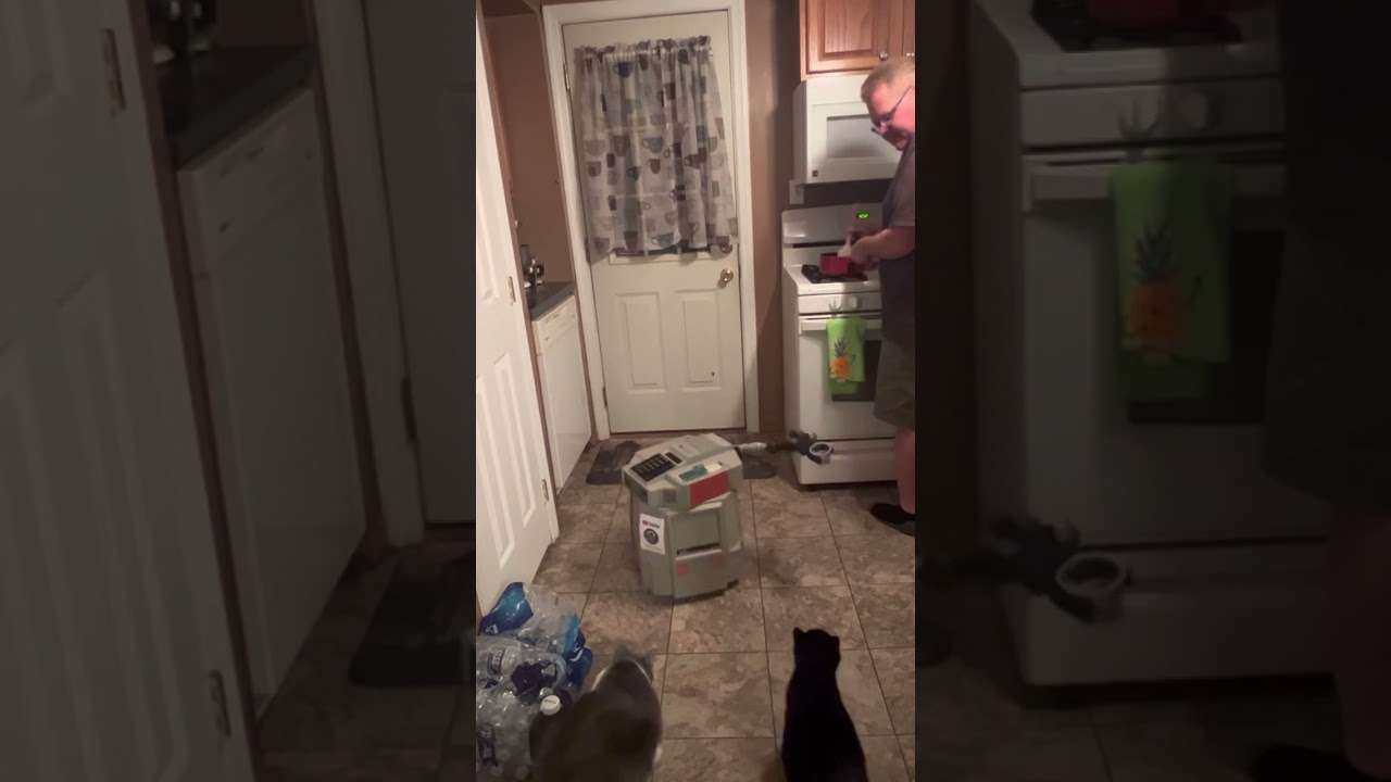 HeathKit Hero 1 Robot Feeding the Cats