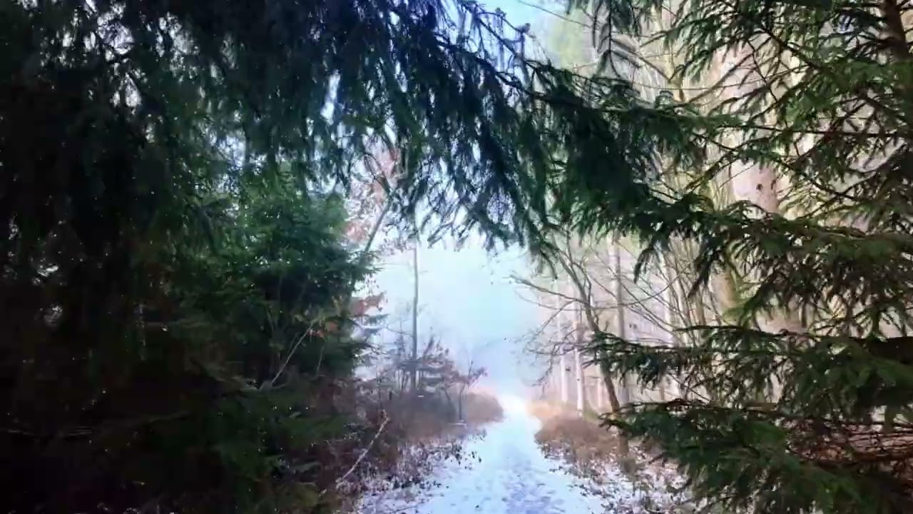 Schnee Eis Nebel. Eine Wanderung am 30. Januar  2026