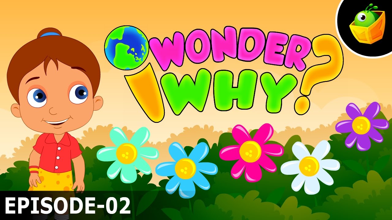 Why Do Flowers Have Different Colours? - I Wonder Why - Amazing & Interesting Fun Facts For Kids