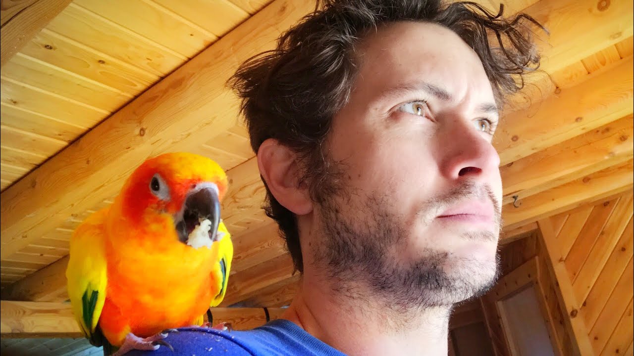 He’s a BIRD, MOTHA F*#%a’