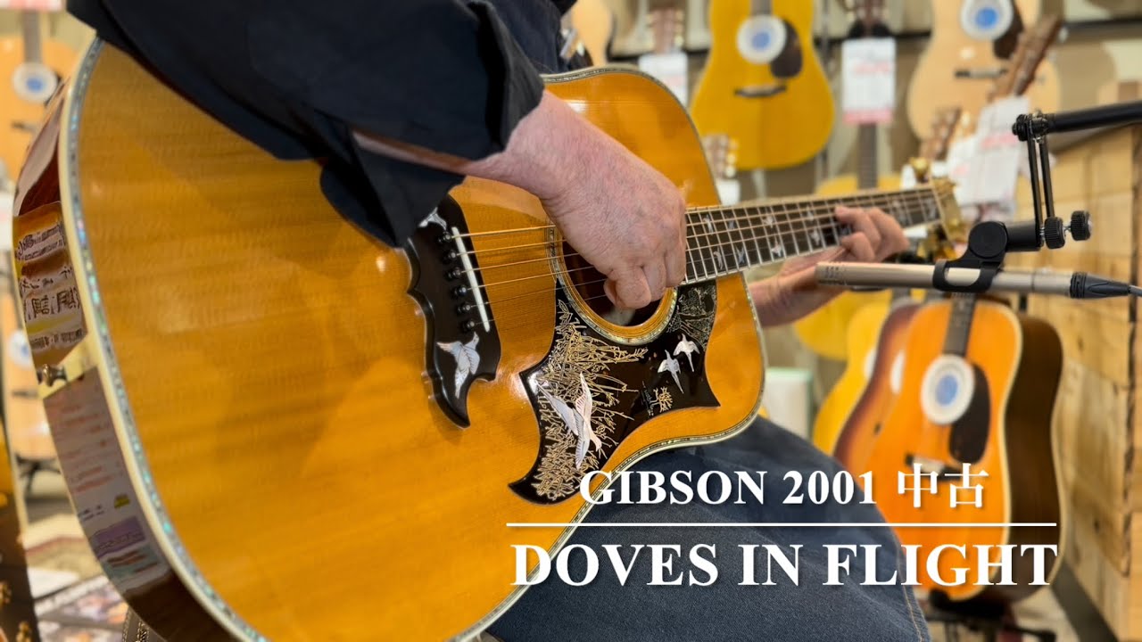 Gibson DOVES IN FLIGHT 【2001年 中古】【極上杢目・激鳴りのメイプル】