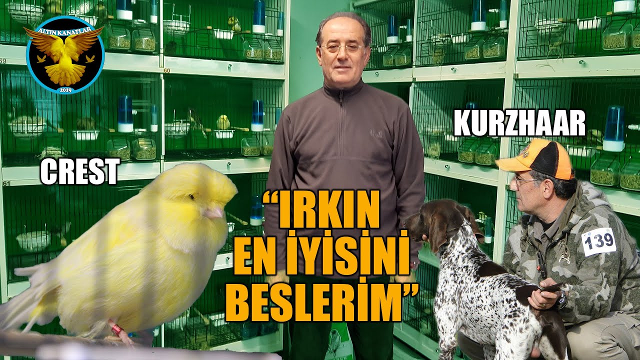 Profesyonel üreticilik ve yetiştiricilik Arif Cihan İNAN
