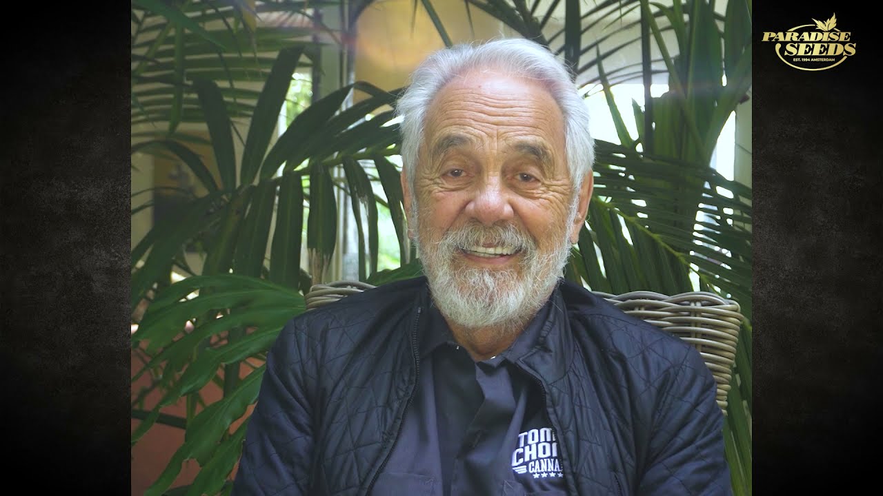420 SPECIAL INTERVIEW: PARADISE SEEDS X TOMMY CHONG!