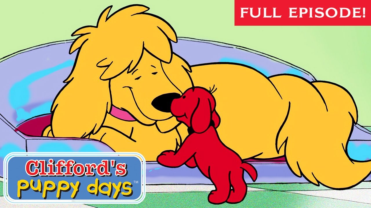 Friends of All Ages | Super Sleepover | Full Episode | Clifford's Puppy Days | Scholastic Classic