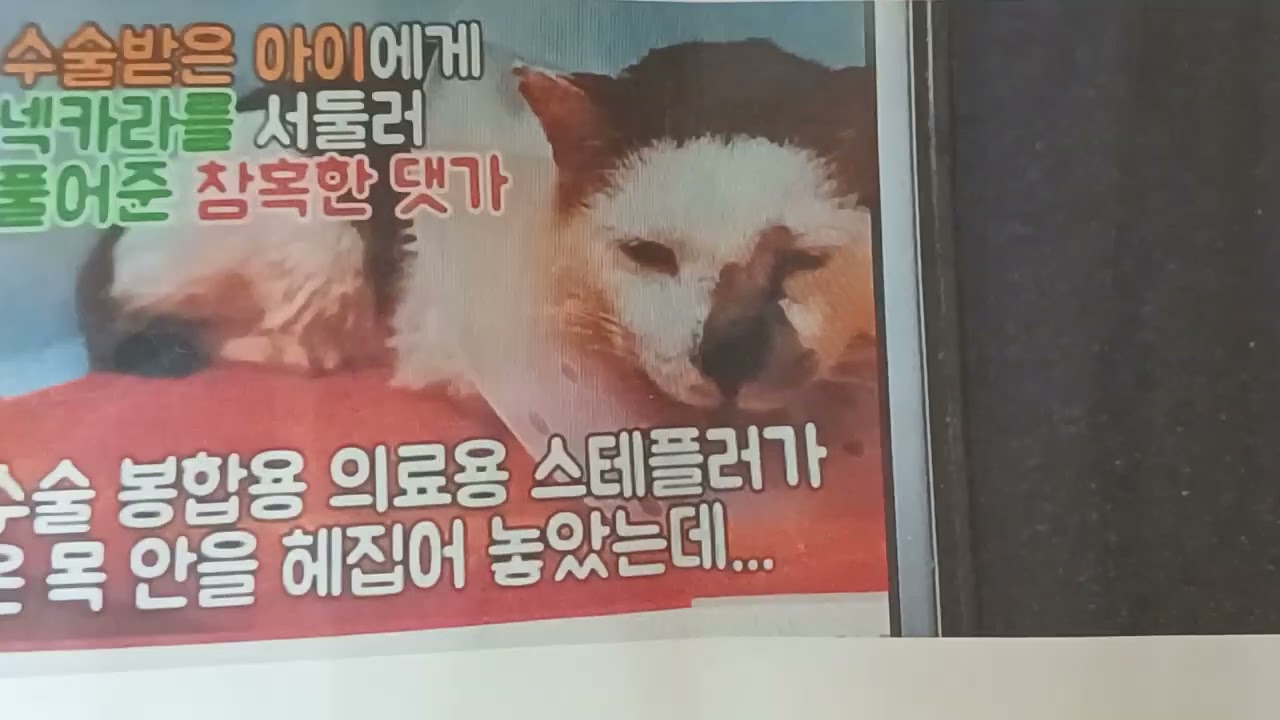 여러많으신분들께 필히 알고계셔야합니다.   앞에서는 천사. 뒤에에서는 악마짓거리..둘의모습  감사합니다