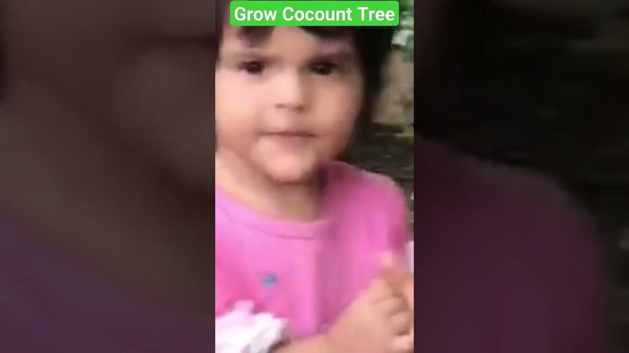 Grow  Coconut Tree / Save The Enviornment & Earn Money /اپ بھی درخت لگائیے