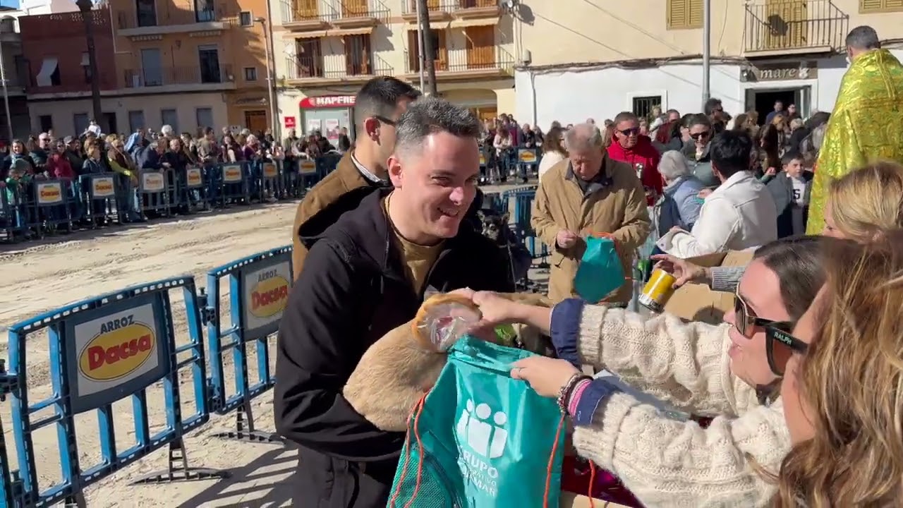 Festivitat de Sant Antoni 2026 Almàssera