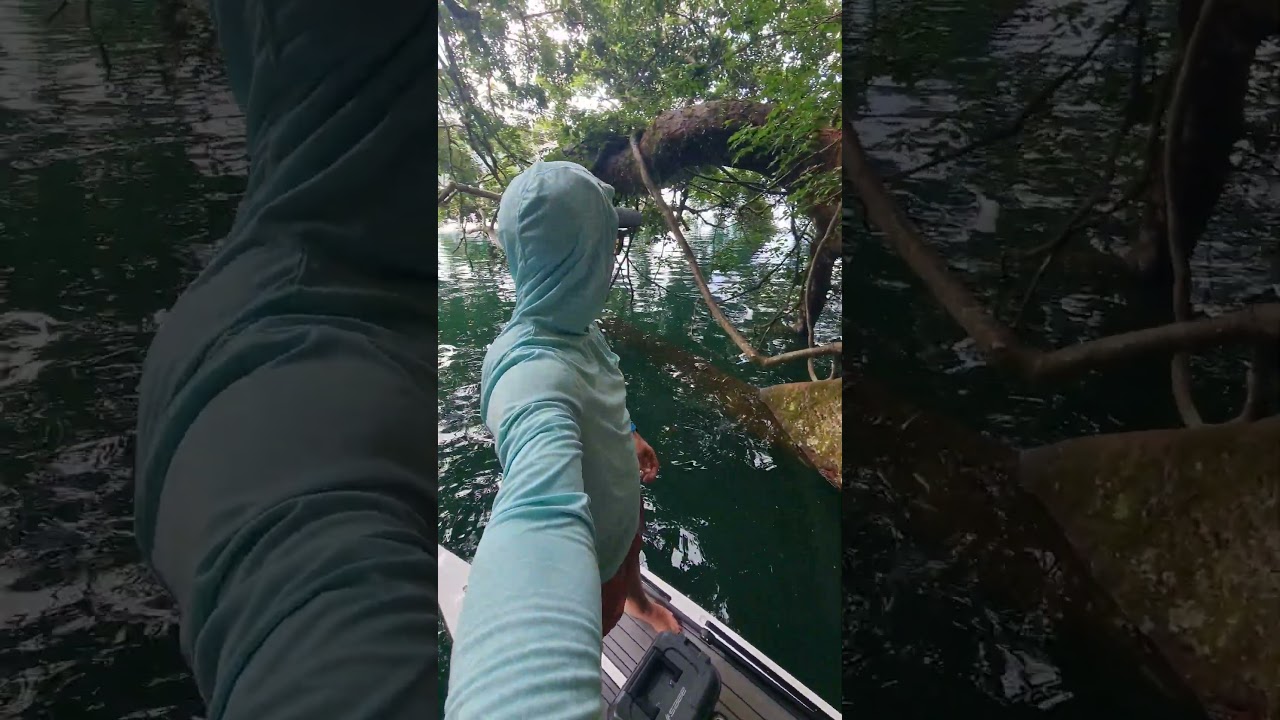 Paddleboarding Australia, Lake Eacham