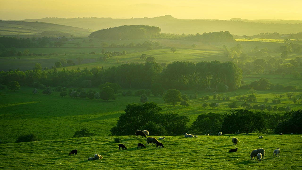 Sheep May Safely Graze - arr. for 2 pianos by Richard Simm