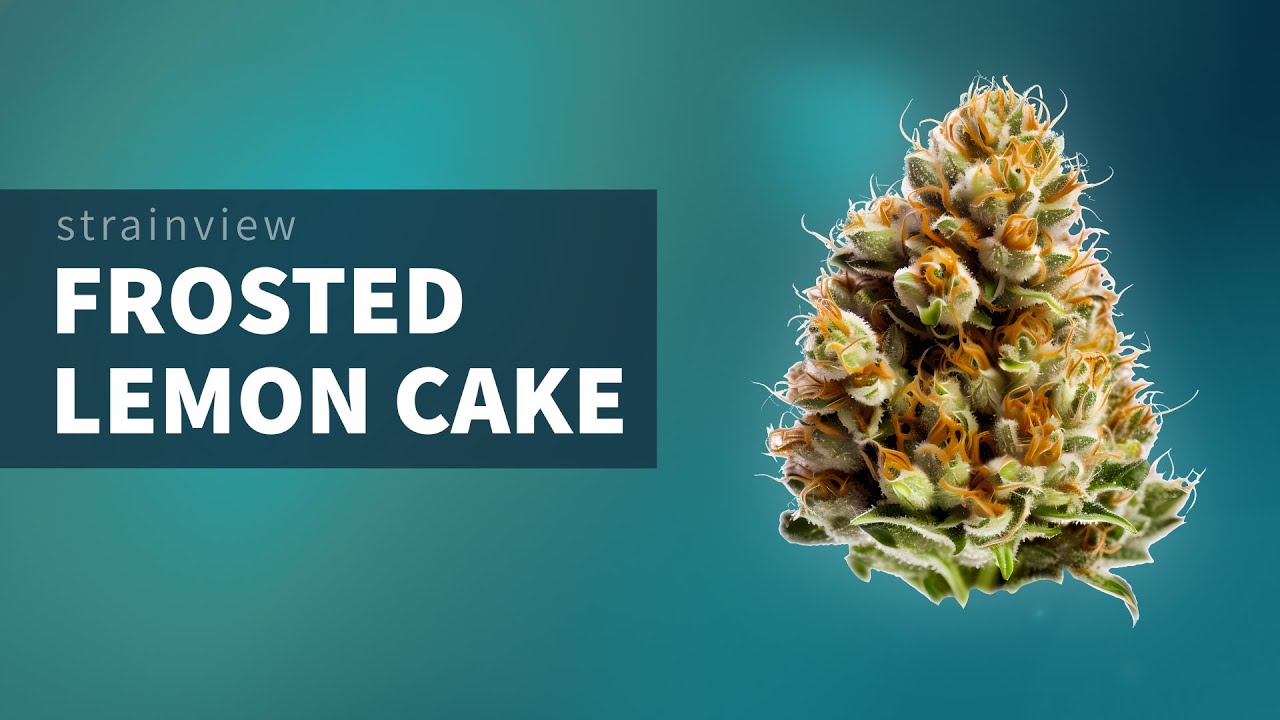 Frosted Lemon Cake - StrainView