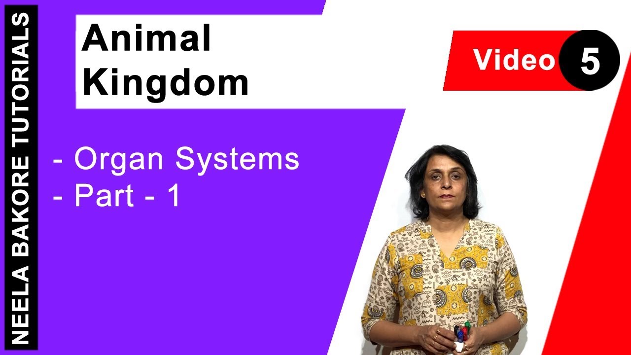 Animal Kingdom  | NEET |  Organ Systems - Part - 1 | Neela Bakore Tutorials