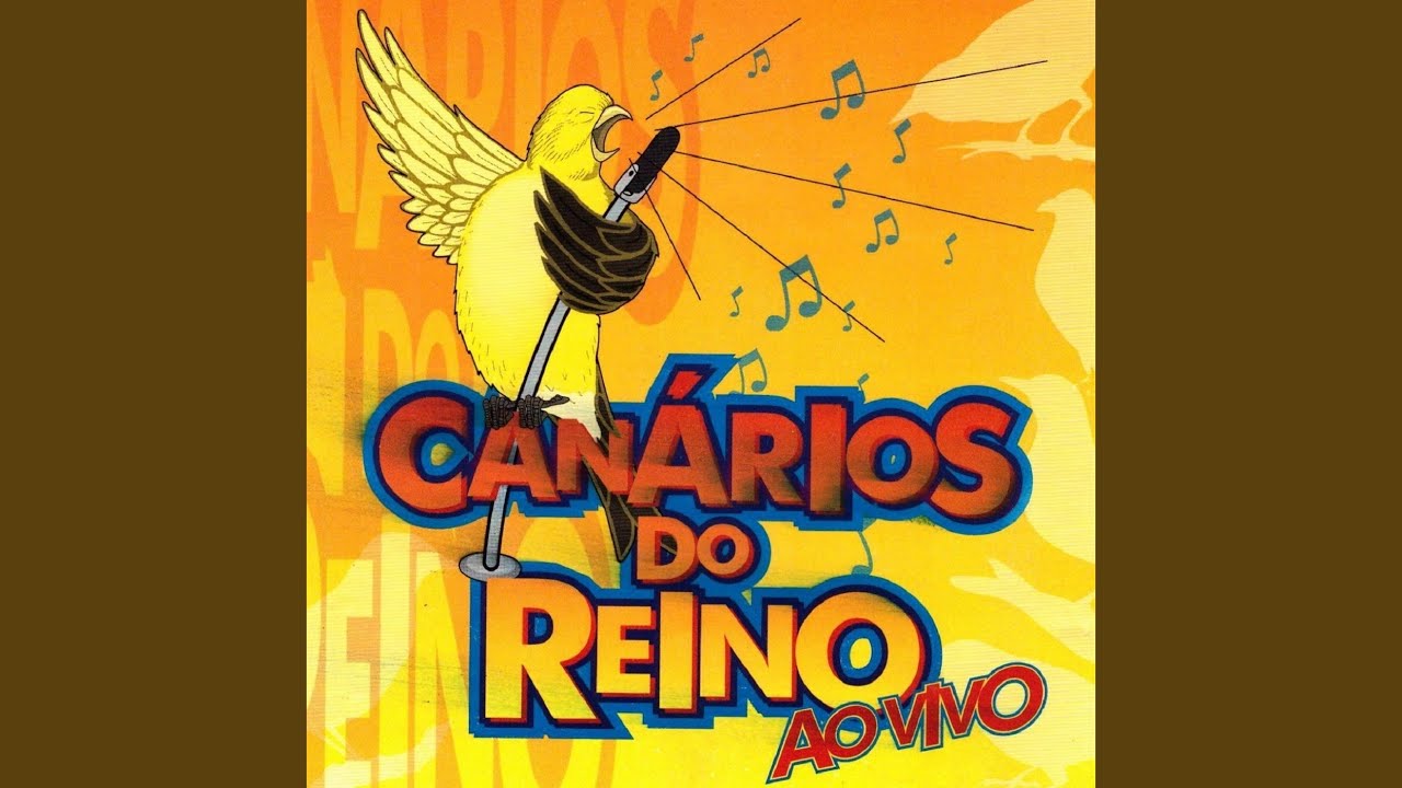 Dois Estranhos