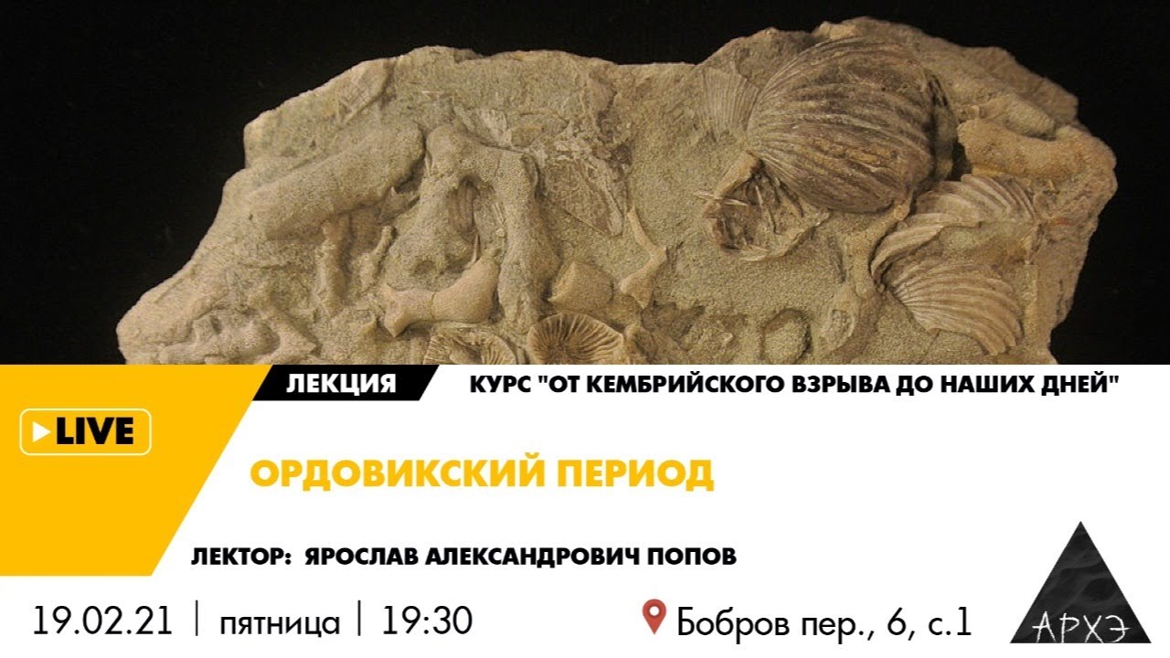 Лекция Ярослава Попова 