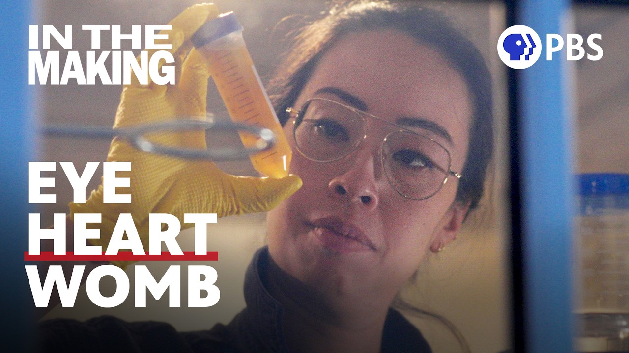 Artist Ani Liu Redefines What It Means to Be Human | In The Making | PBS