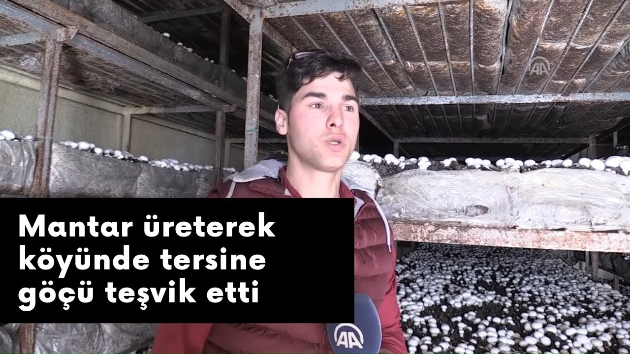 Köyünde mantar üretimi yaparak tersine göçü teşvik etti