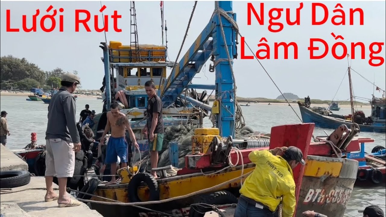 Lưới Rút Ngư Dân Lâm Đồng Trúng Hàng Chục Tấn Hải Sản Tươi Ngon Rất Nhiều Loại Hải Sản 