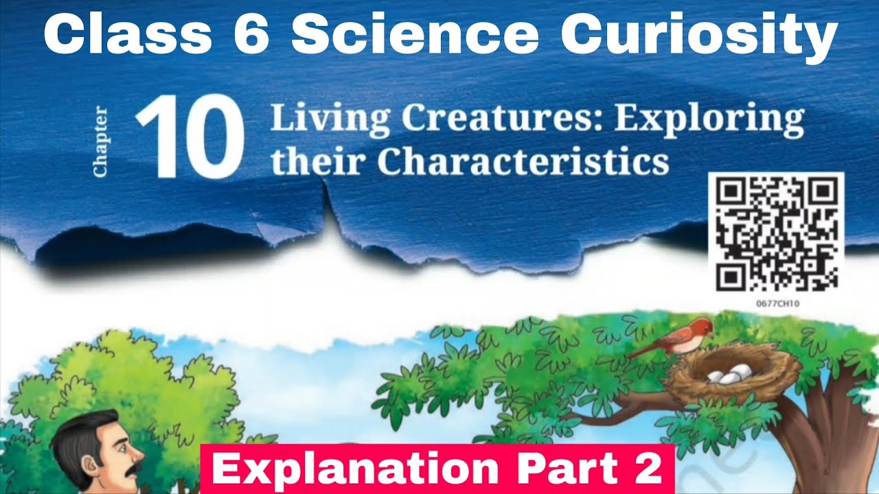 Class 6 Science Curiosity chapter 10 Living Creatures Exploring Their Characteristics | Part 2