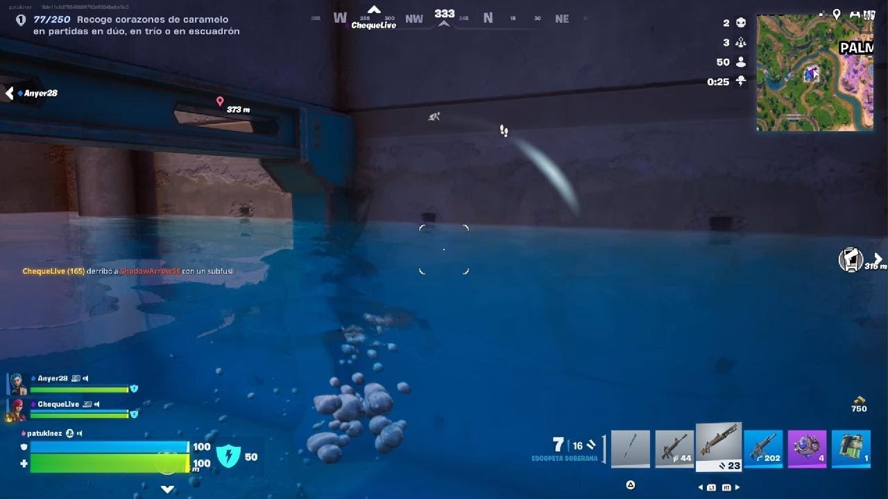 Fortnite_20260213230337