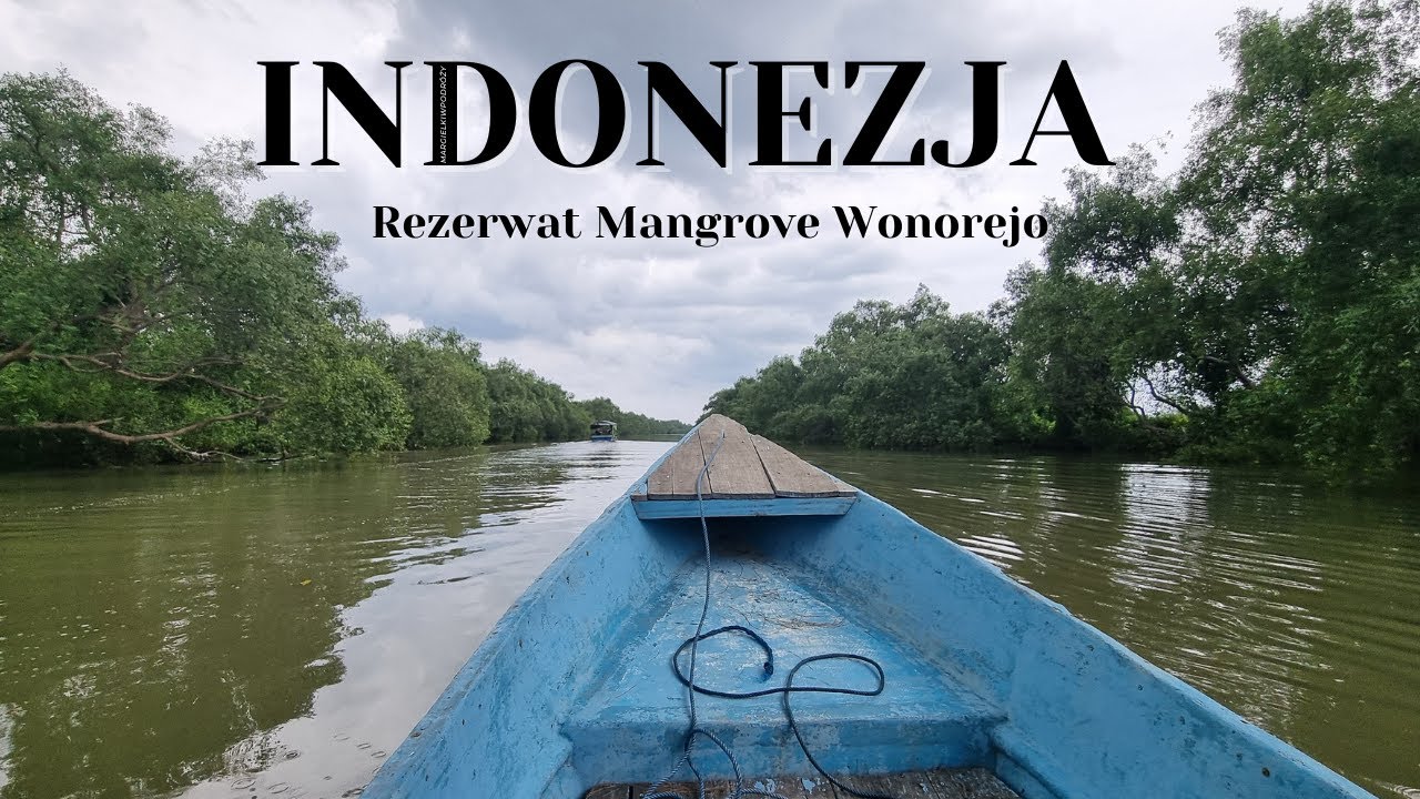 Surabaja - Rezerwat Mangrove Wonorejo, IKEA i Chiński Nowy Rok INDONEZJA VLOG #21