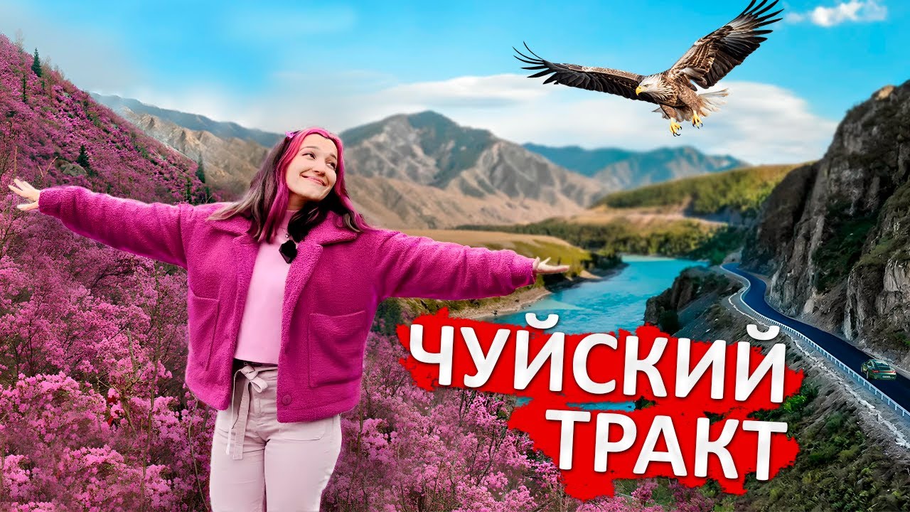 Чуйский тракт – самая красивая дорога России / Цветущий маральник, перевалы и лучшие смотровые Алтая