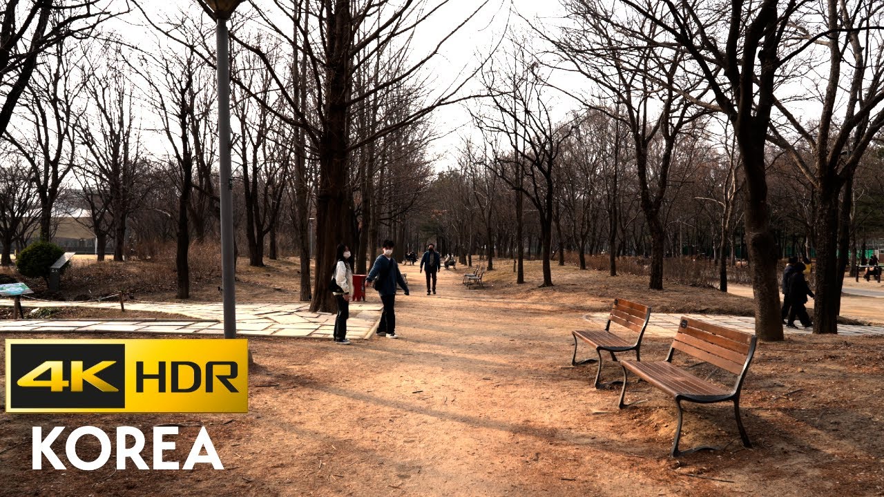 Seoul Forest Scenery in the afternoon on weekdays - 4K HDR Korea