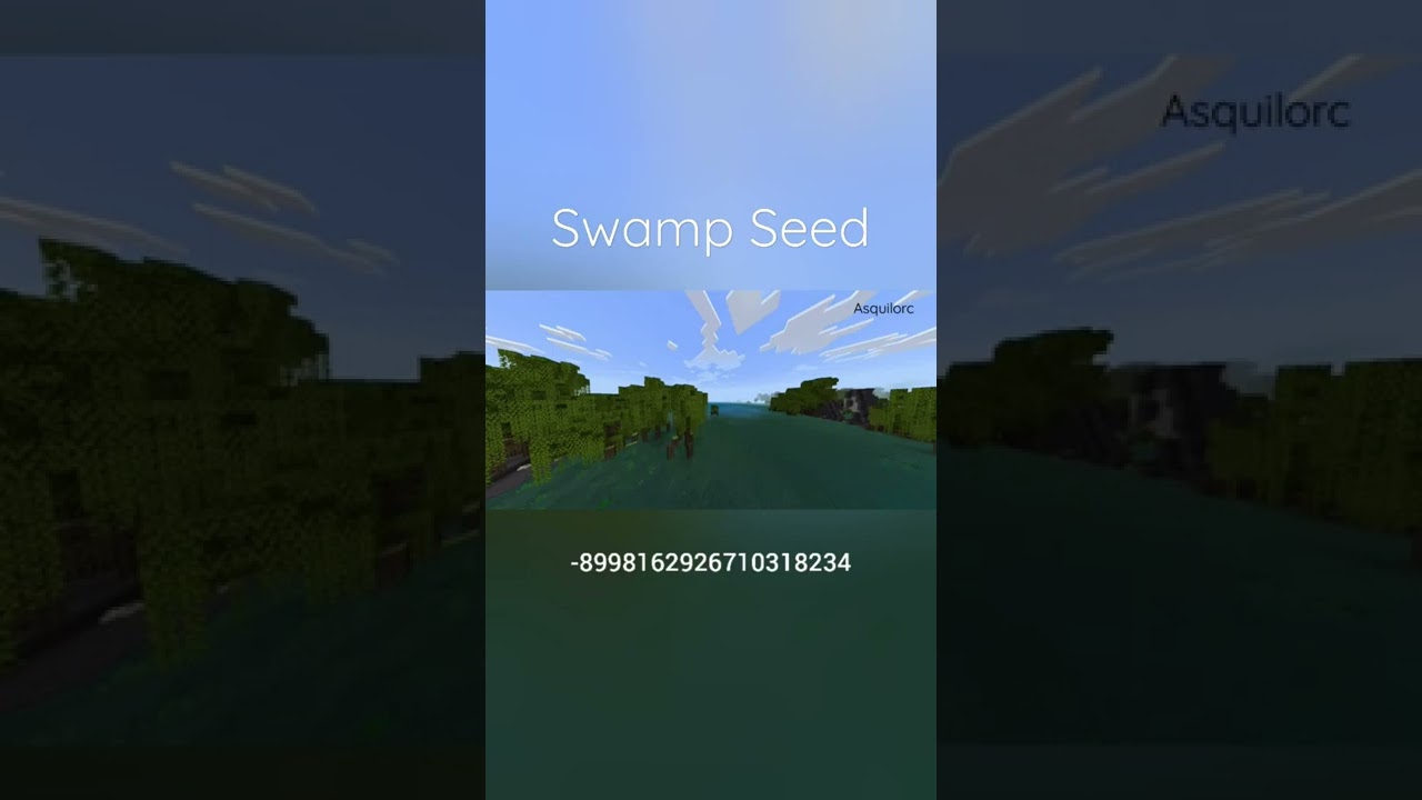 1.19 Swamp Seed in Minecraft