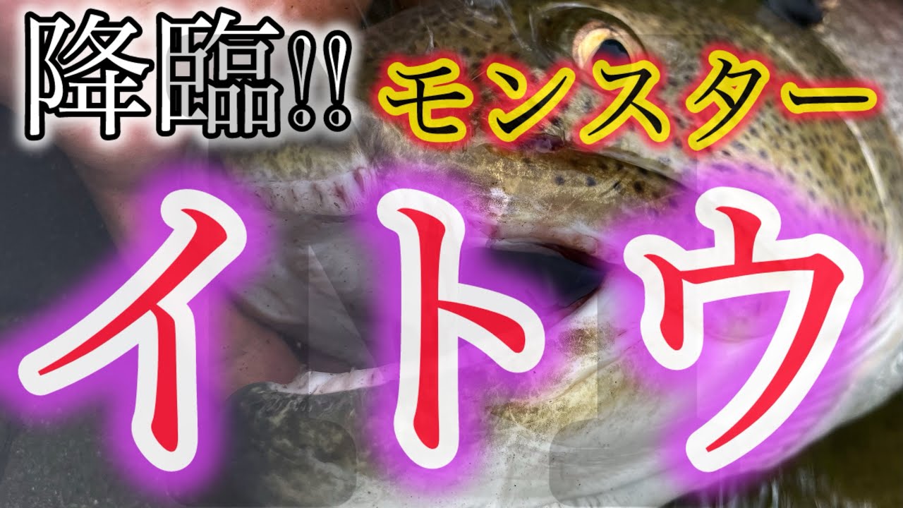 【北海道 釣り 鬼10】これぞ日本三大怪魚!!メーターオーバーモンスターイトウをキャッチ!!