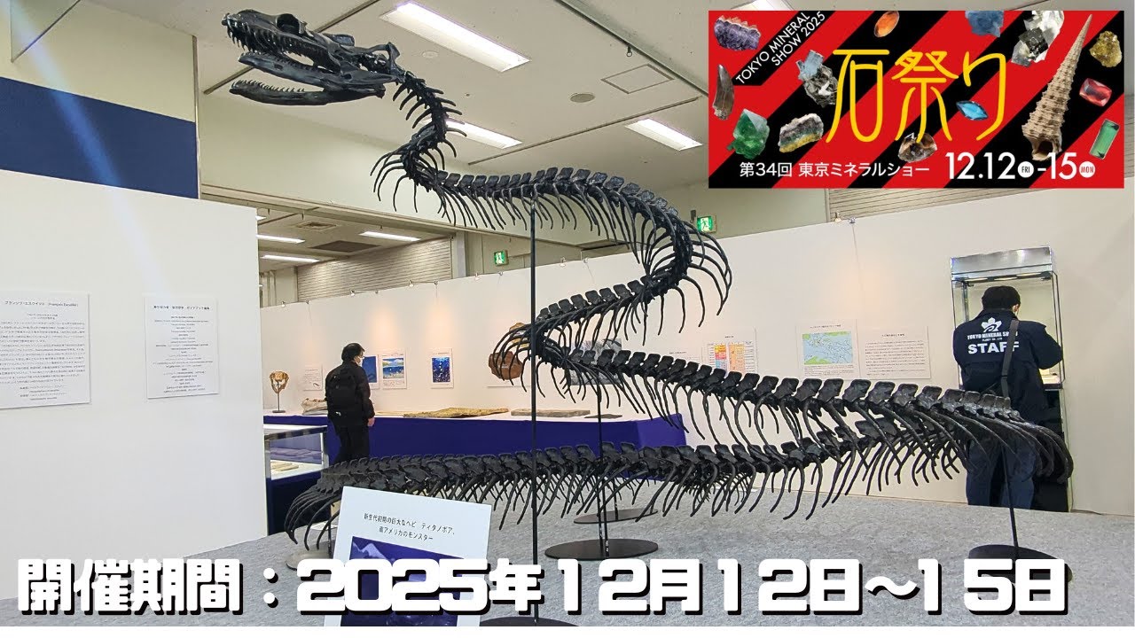 【古生物イベント】第34回 東京ミネラルショー(池袋サンシャインシティー文化会館ビル)