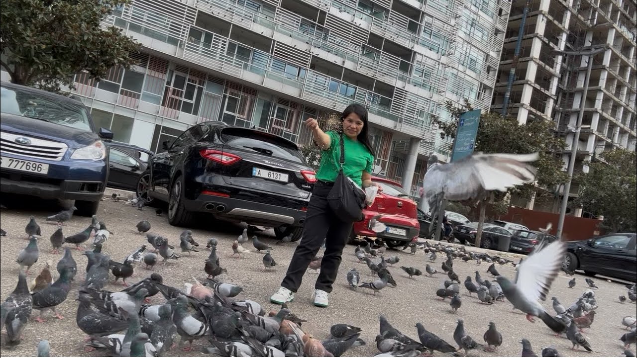 Feeding the Downtown Doves: The Birds of the City 