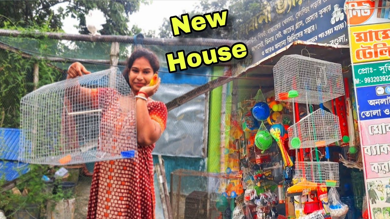 আজ ম্যাঙ্গোর জন্য নতুন বাড়ি নিয়াসলাম 🤩|| My Birds Caloni Vlog- #Birdsvlog #petsvlog #newvlog 