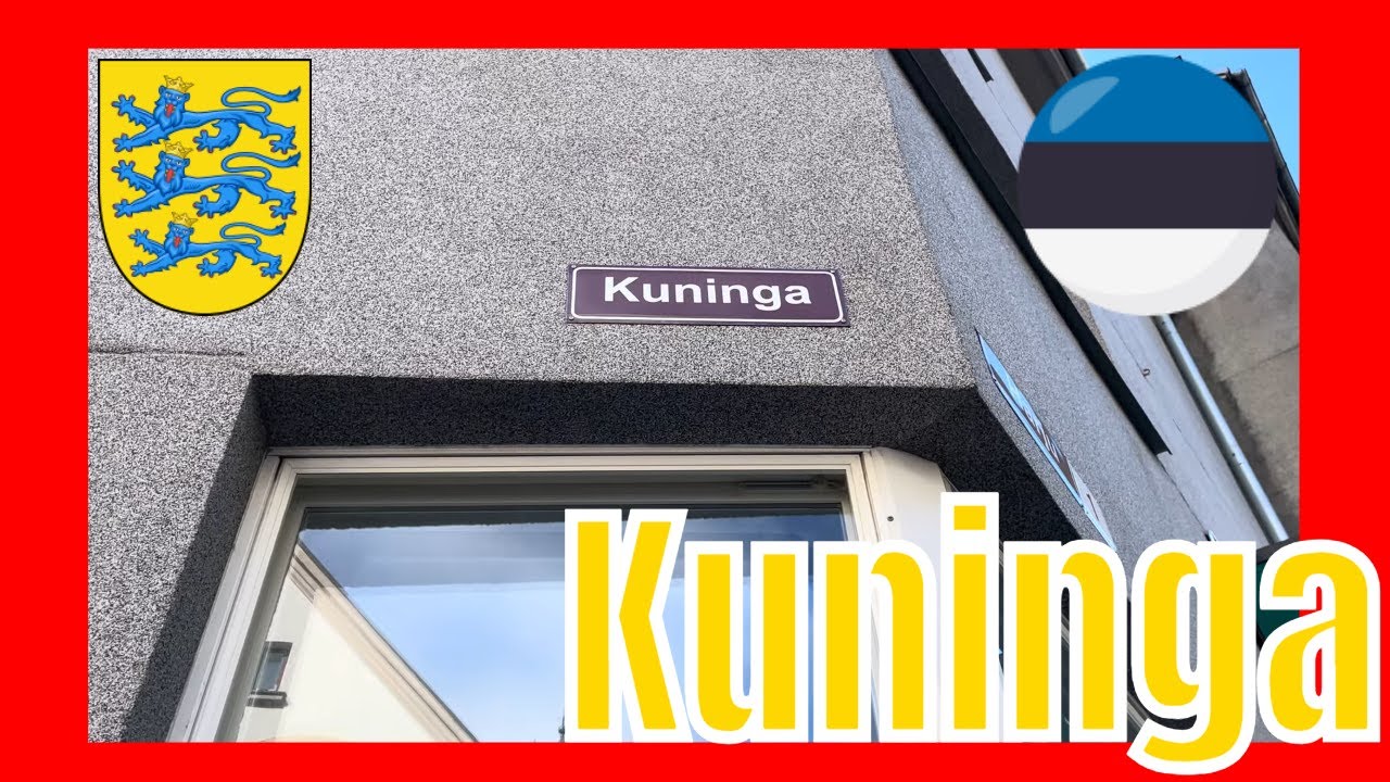 🇪🇪 Kuninga tn Tallinn Walking Tour - Tallinna jalgsimatk
