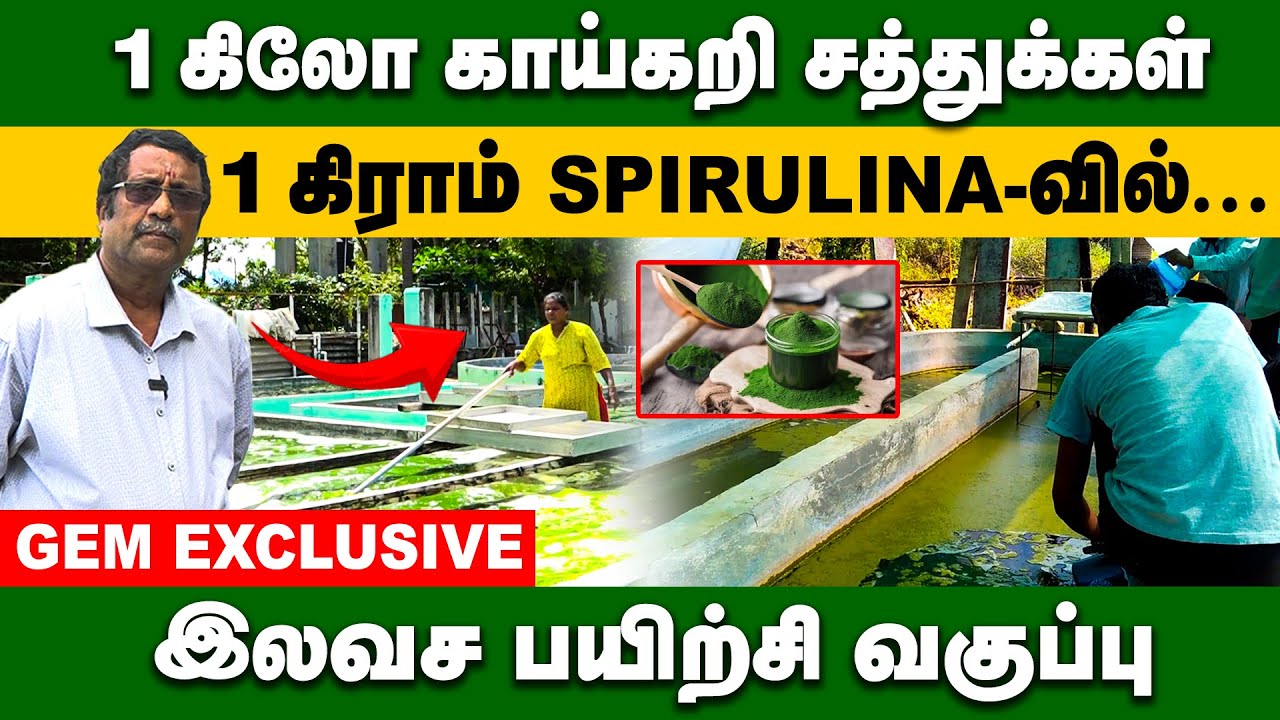 ஒரு கிலோ காய்கறிகளில் உள்ள சத்து ஒரு கிராம் spirulina-வில்  உள்ளது |PART 2 | Spirulina Farming