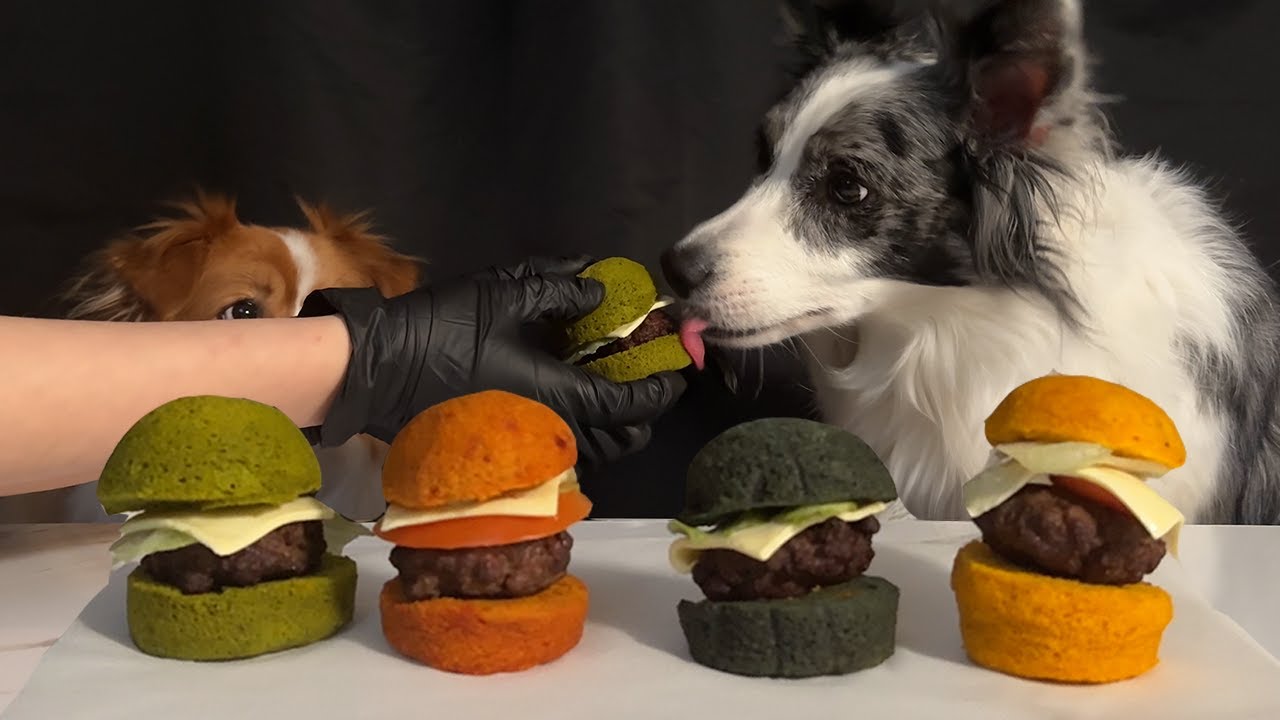 SpongeBob Pretty Patties Dog ASMR 🍔🐾 | Mukbang #dogfood