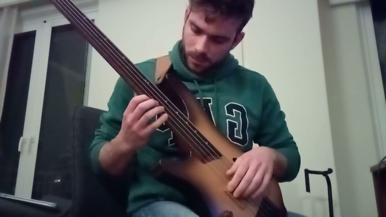 Donna lee fretless bass studying Ibanez SRH505F