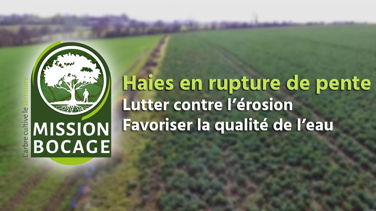 Haies en rupture de pente - Lutter contre l'érosion - Favoriser la qualité de l'eau