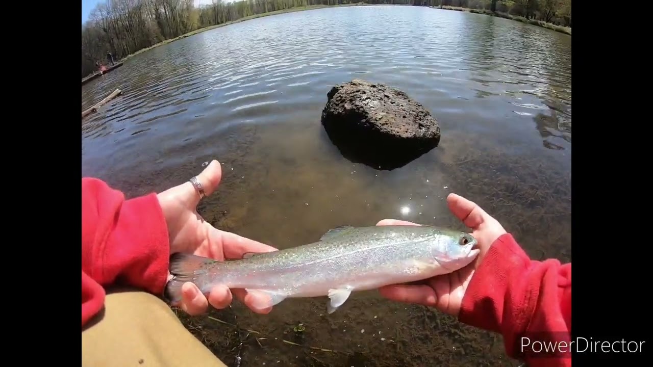 FISHING REPORT from TROJAN LAKE *are the bigs ones in yet?*