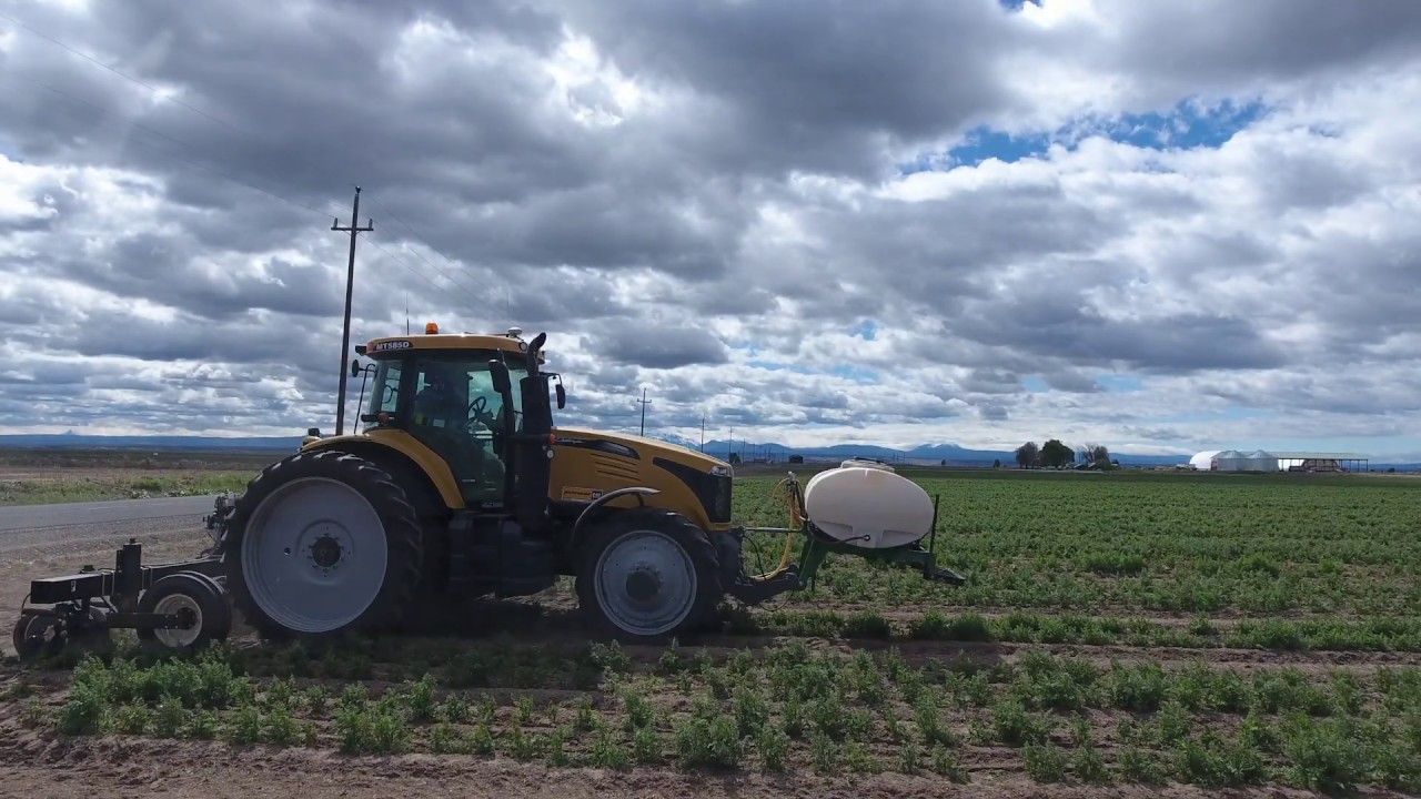 aplicando fertilizante en líquido