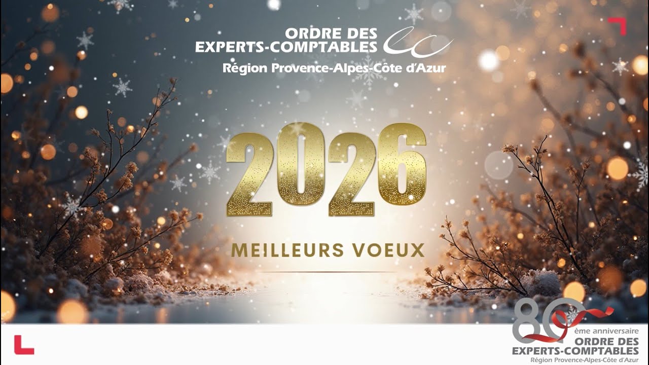 ✨ Meilleurs vœux 2026 ✨