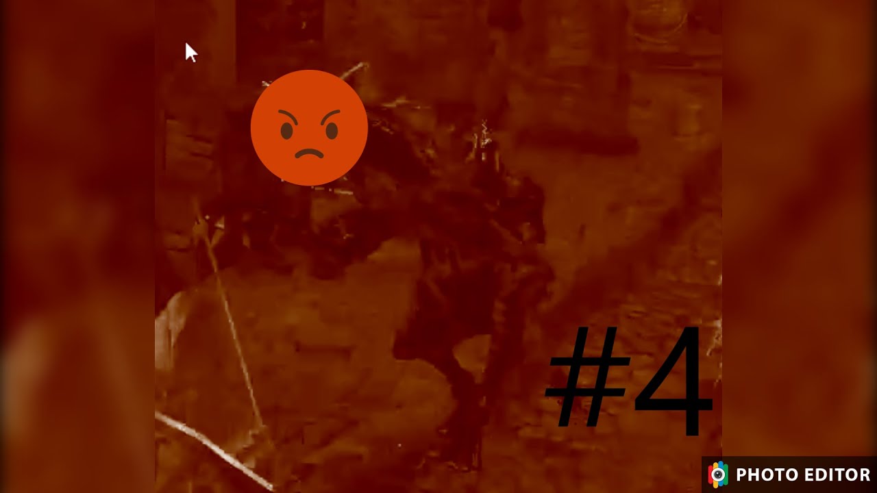 #4 Ich HASSE Hunde in Dark Souls  | Dark Souls Remastered