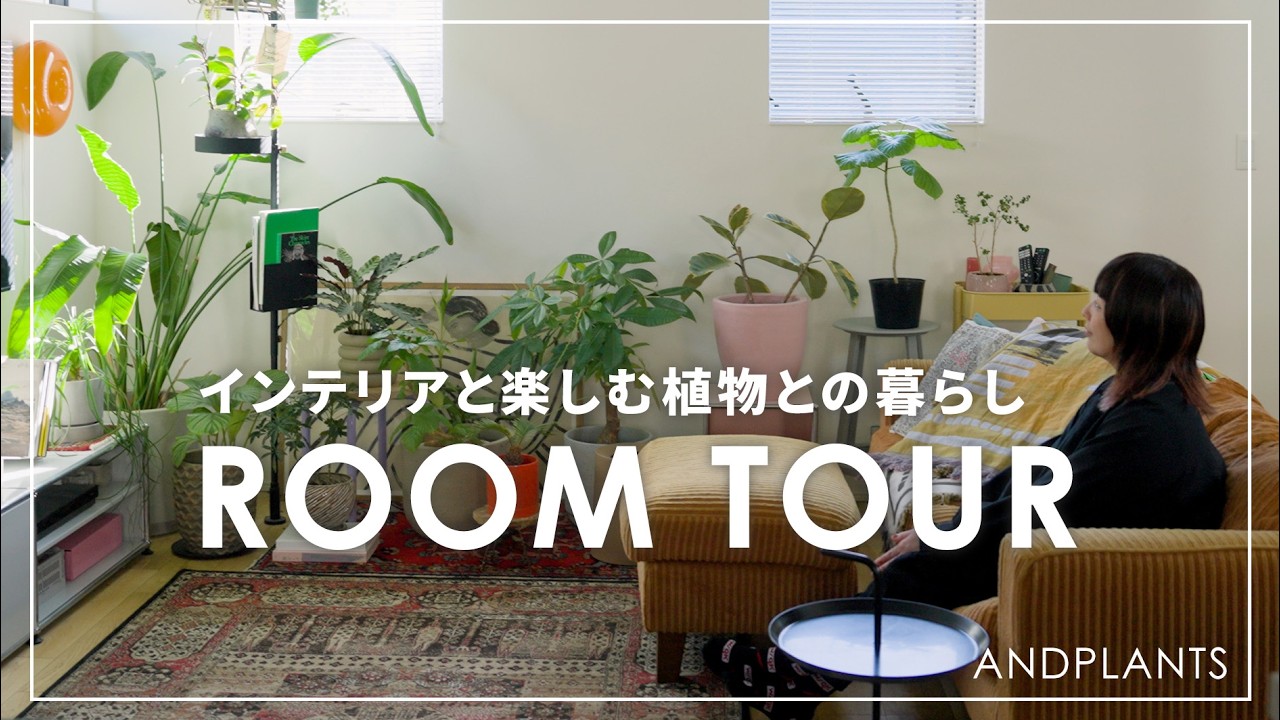 植物とカラフルインテリアが調和する暮らし｜整理収納アドバイザーの空間づくり