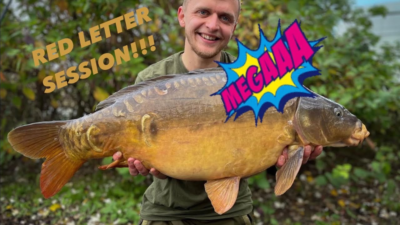 MERE LANE FISHERY | Produces some fine looking Carp