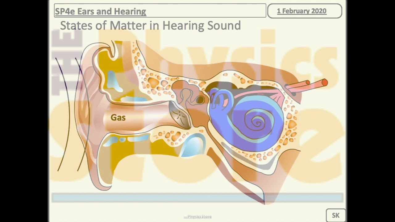 SP4e Ears and Hearing