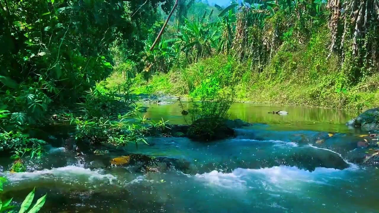 Relaxation, Meditation, Calm, Deep Sleep And Studying With Beautiful Piano Music #037