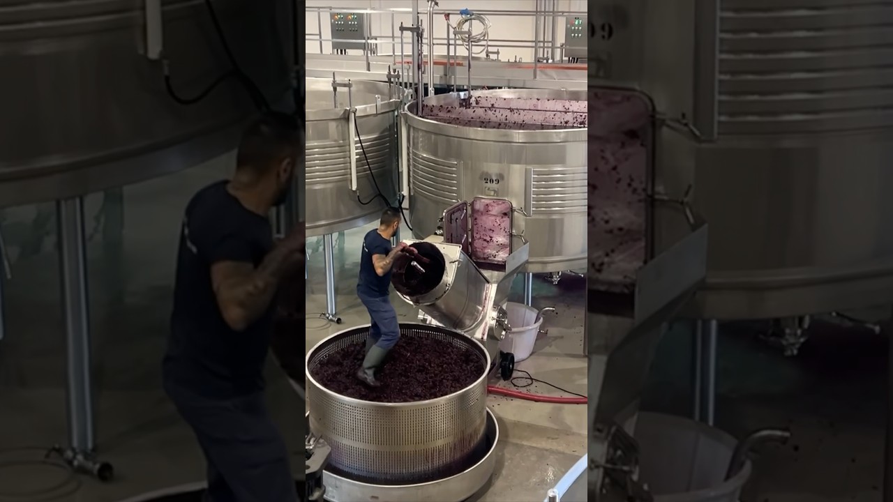 A Visit to Nogueira Winery, Douro Valley, Portugal