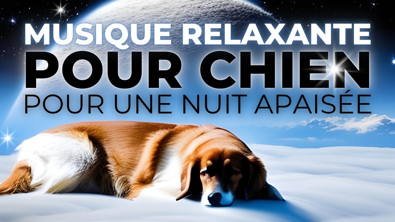MUSIQUE RELAXANTE POUR CHIEN (pour une nuit apaisée)